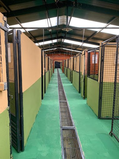 centro canino rivendel