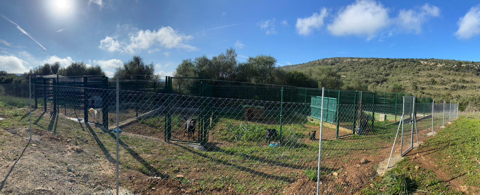 residencia canina nescap