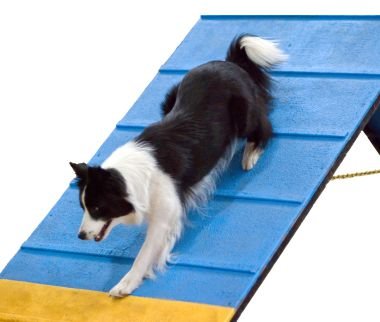 residencia canina adiecan