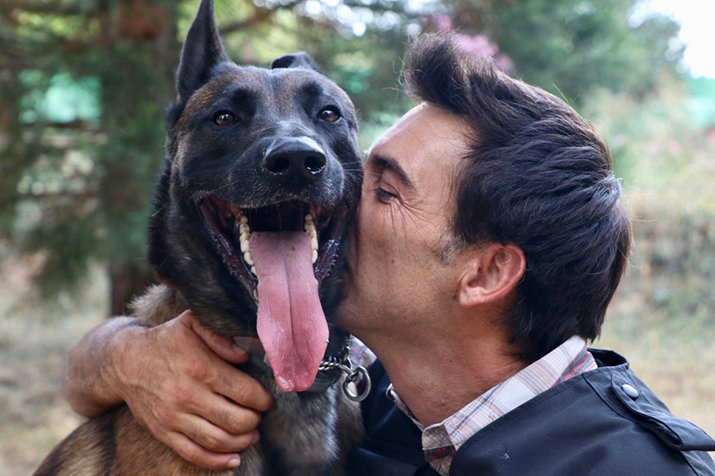 residencia canina jacan