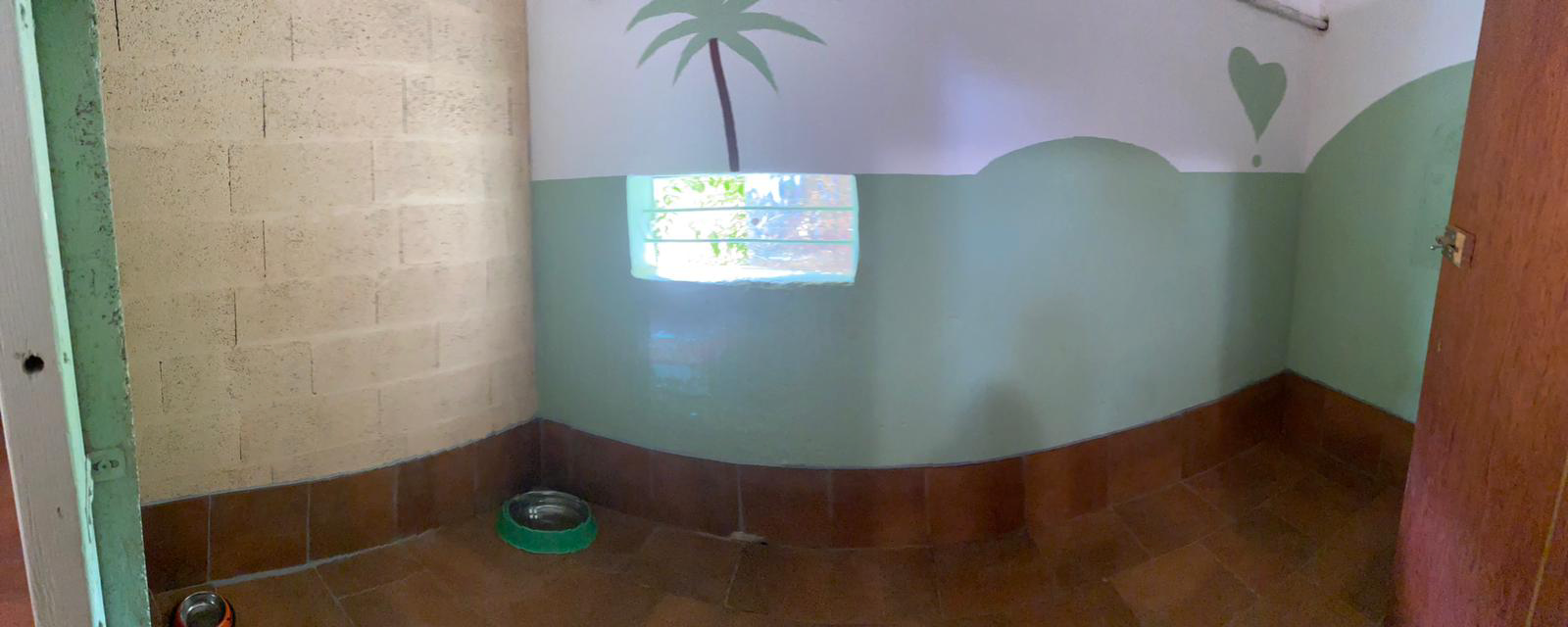 residencia canina nescap