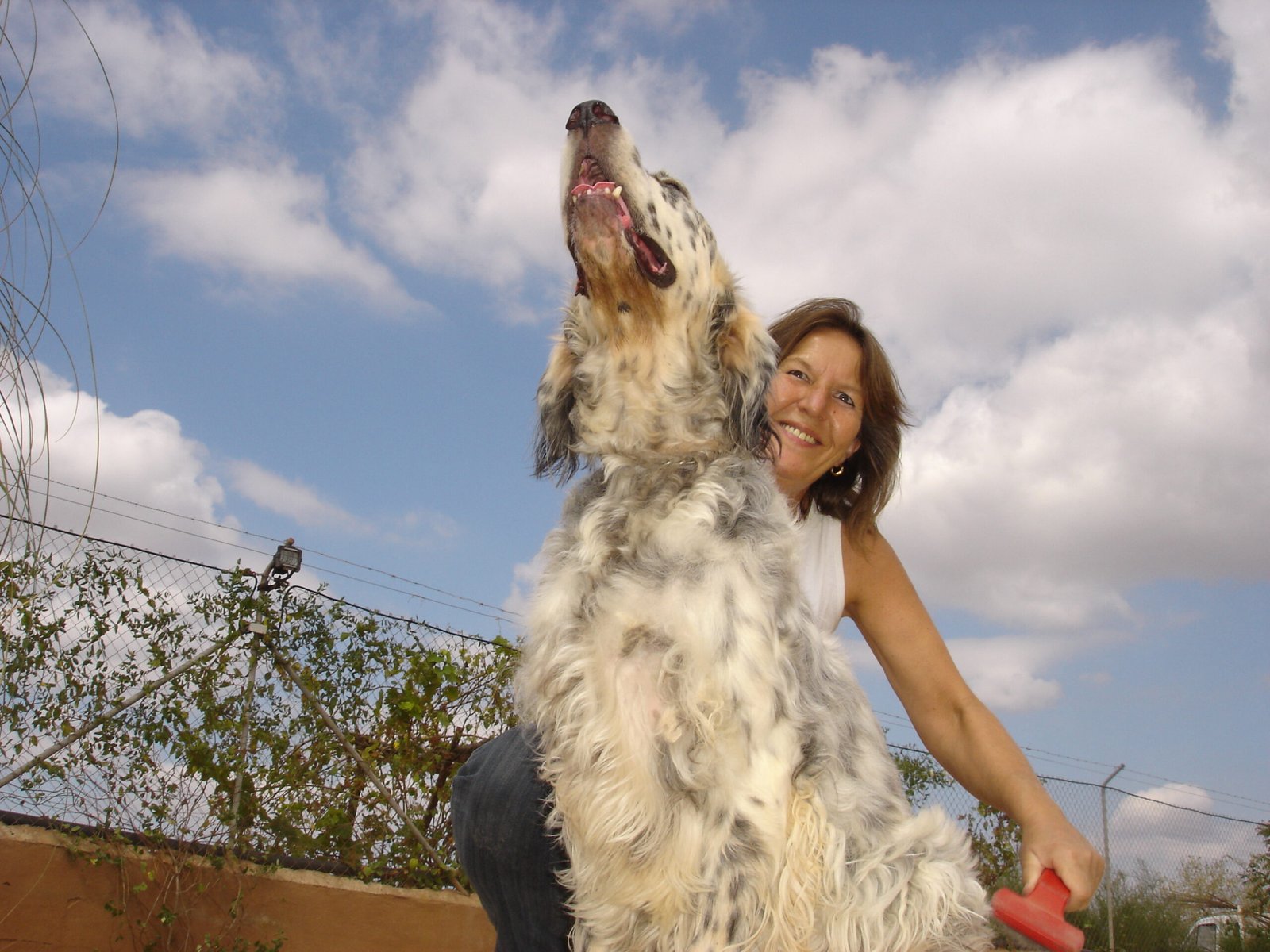 residencia canina von falkenau