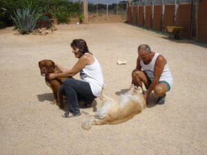 residencia canina von falkenau