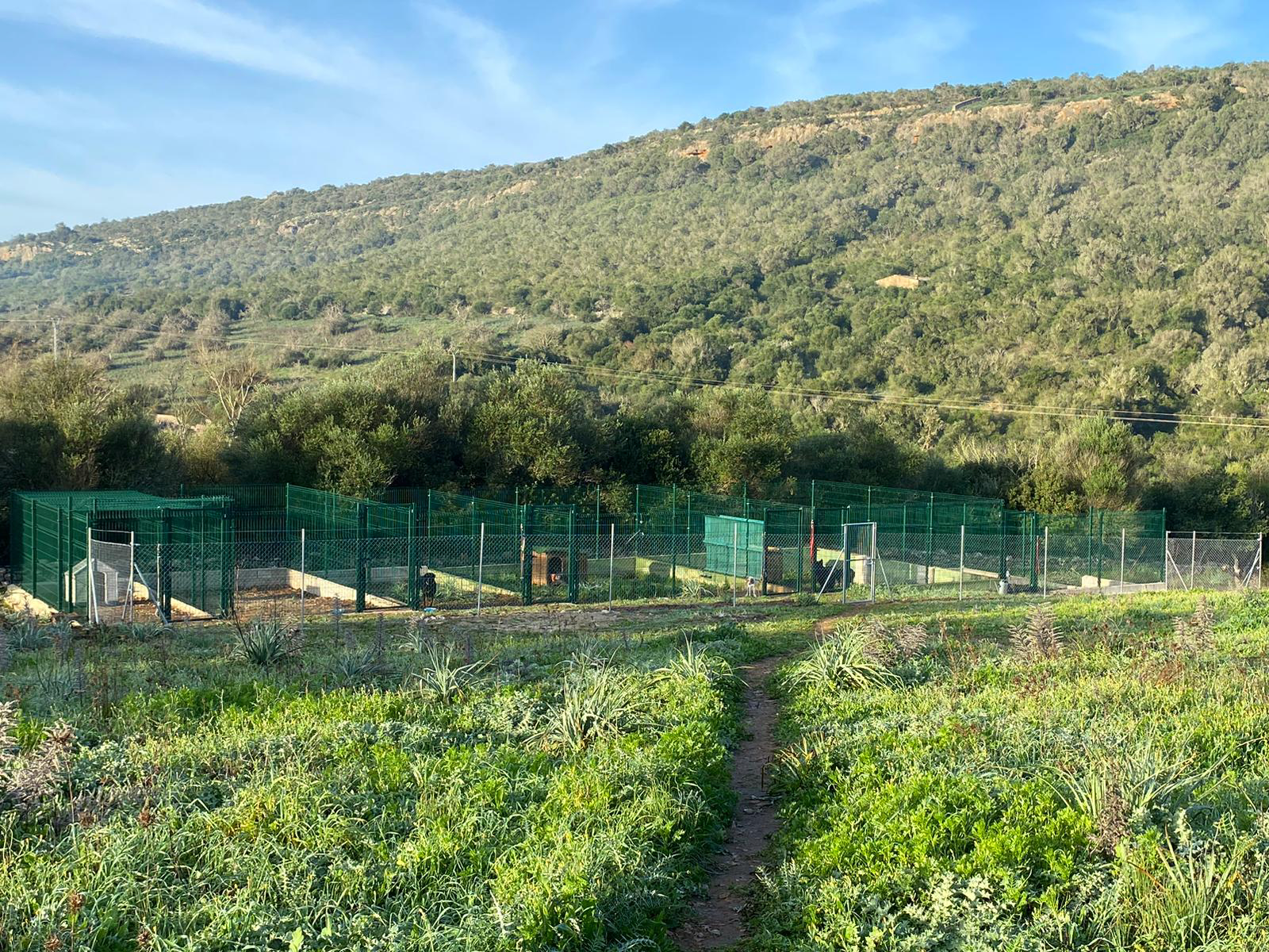 residencia canina nescap