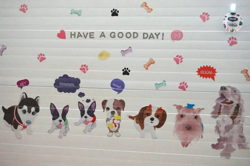 guardería canina mi mascota