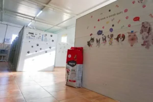 guardería canina mi mascota