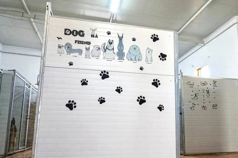 guardería canina mi mascota