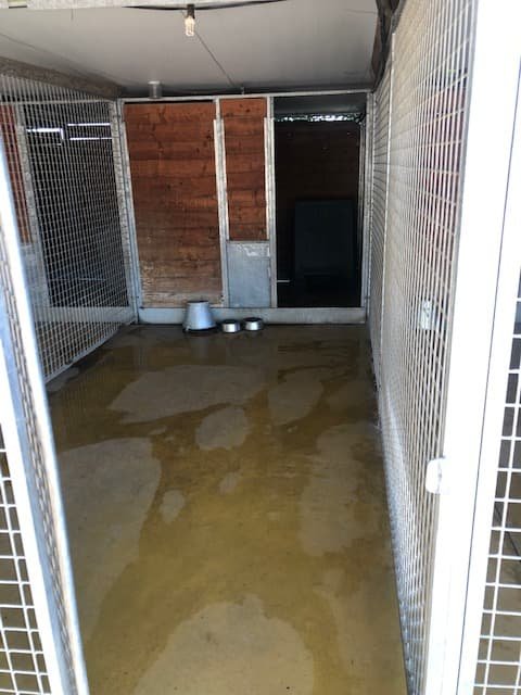 residencia canina granacan