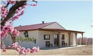 residencia canina huellas