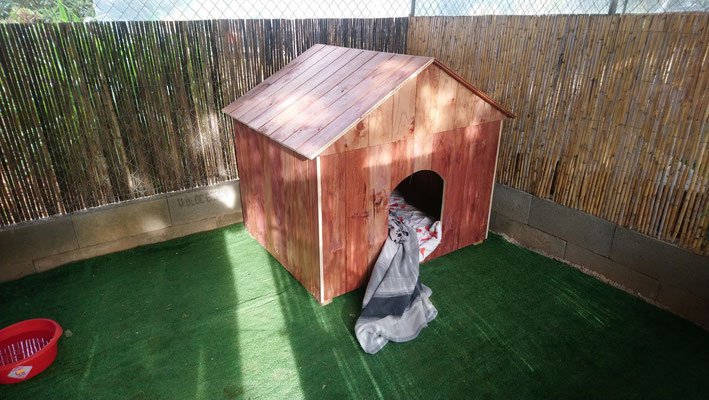 residencia canina gabis hunde wiese