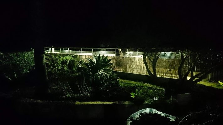 residencia canina gabis hunde wiese