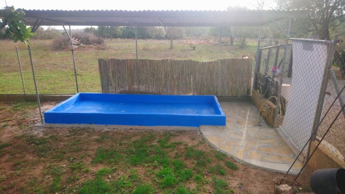 residencia canina gabis hunde wiese