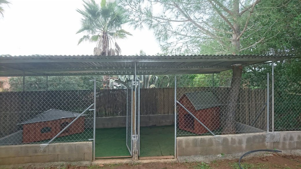 residencia canina gabis hunde wiese
