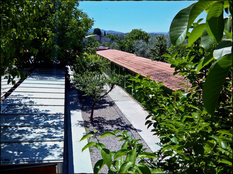 residencia canina dog house