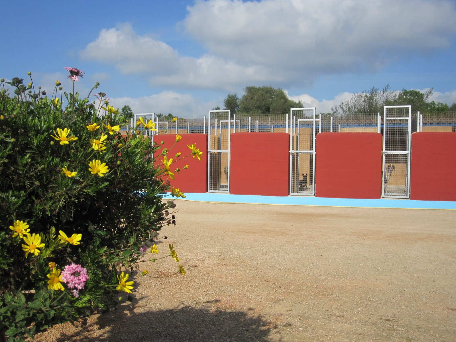 residencia canina von falkenau
