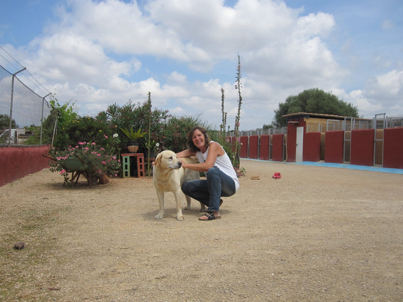 residencia canina von falkenau