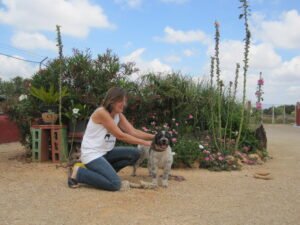 residencia canina von falkenau