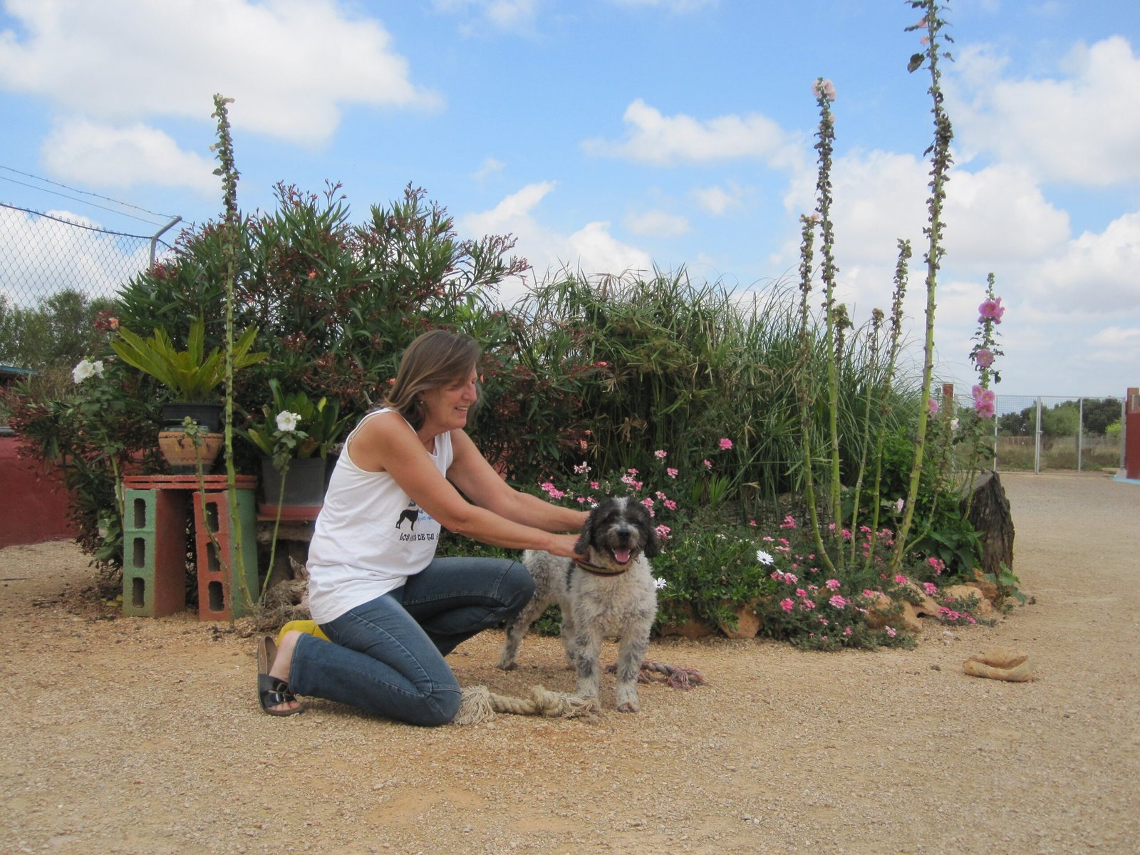 residencia canina von falkenau