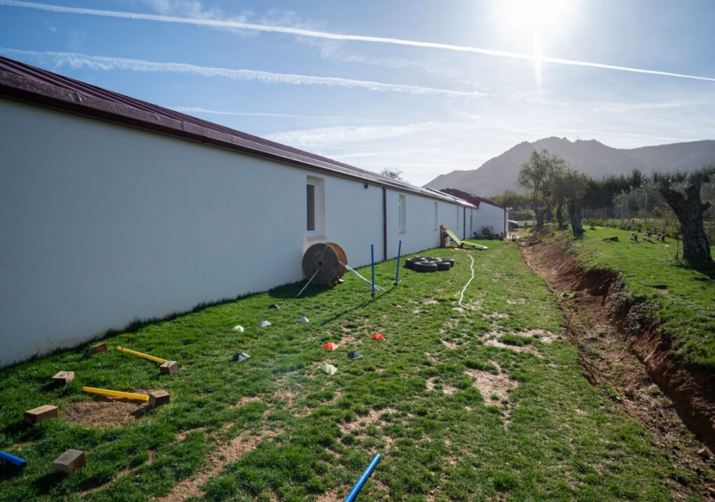 residencia canina kangurea