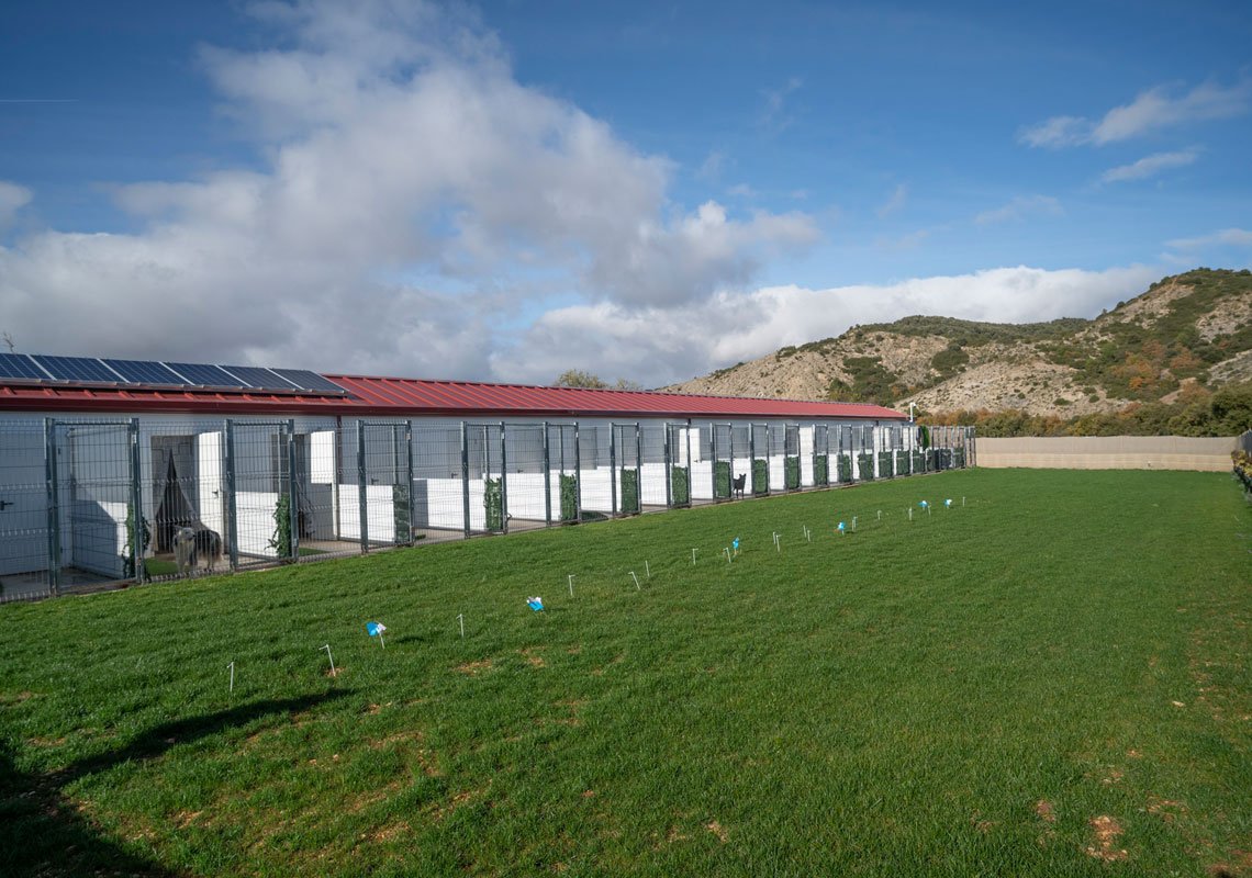 residencia canina kangurea