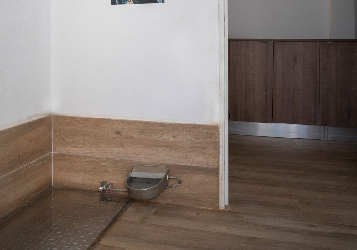 residencia canina kangurea