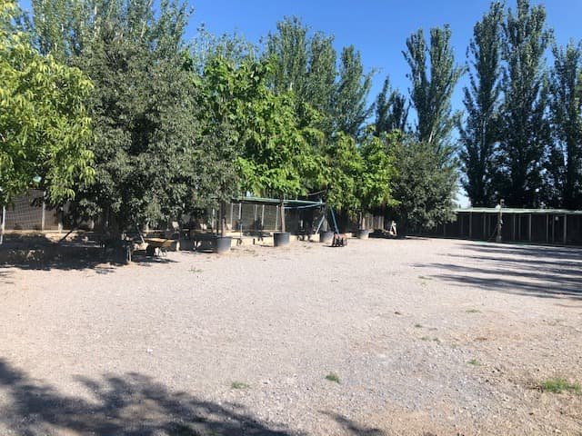 residencia canina granacan