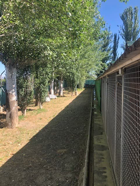 residencia canina granacan