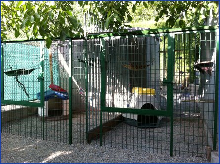 residencia canina granacan