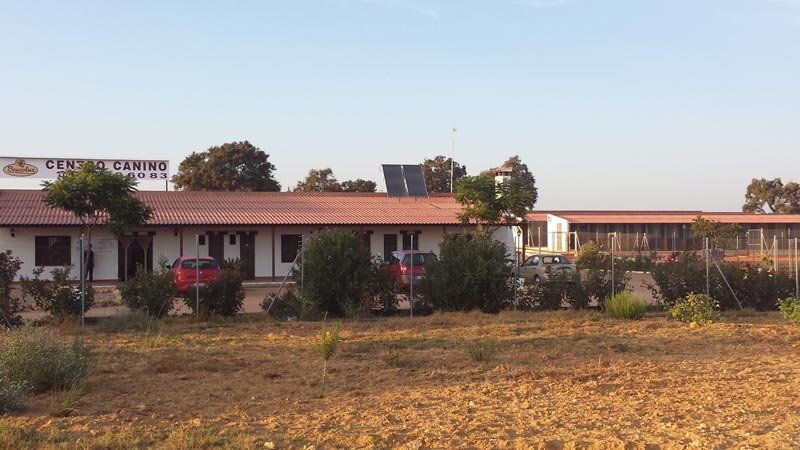 residencia canina brecoluz