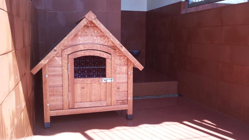 residencia canina brecoluz