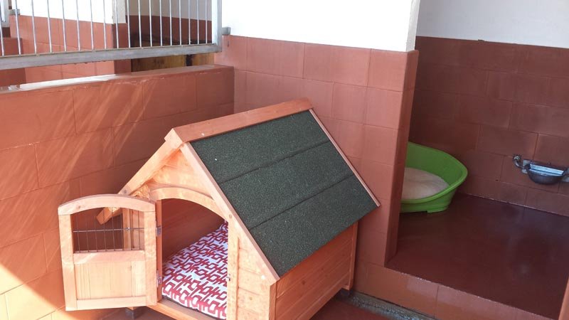 residencia canina brecoluz