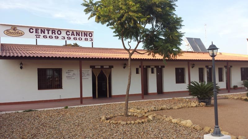 residencia canina brecoluz