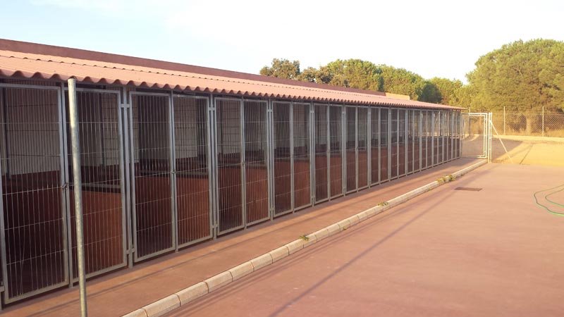 residencia canina brecoluz