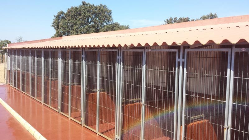 residencia canina brecoluz