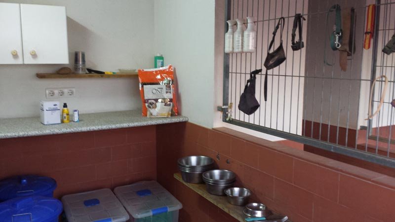 residencia canina brecoluz