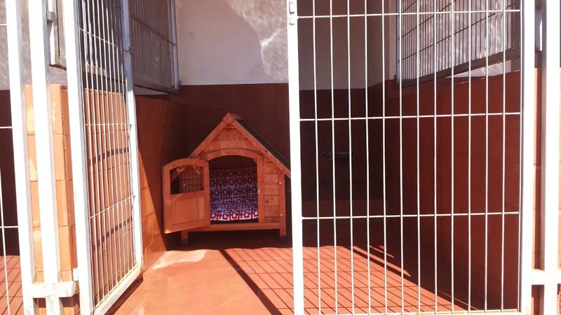 residencia canina brecoluz