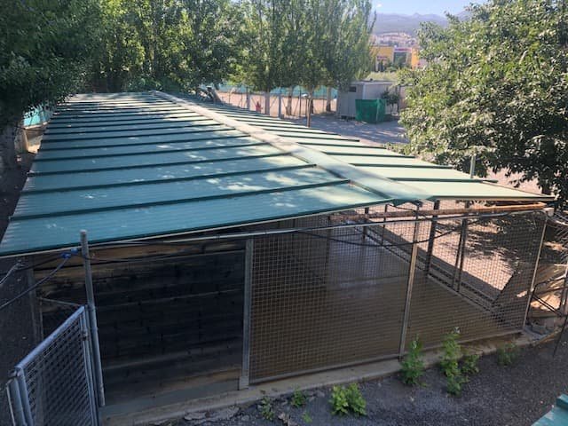 residencia canina granacan