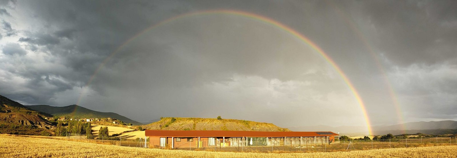 residencia canina luna mon