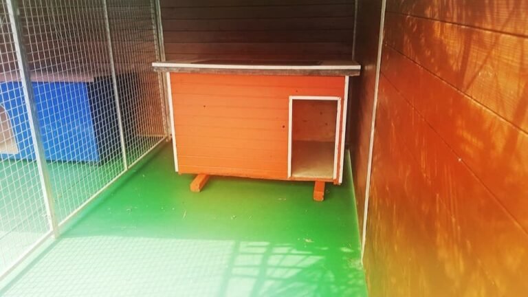 Residencia Canina Txakur Txoko – residencia canina en Vizcaya