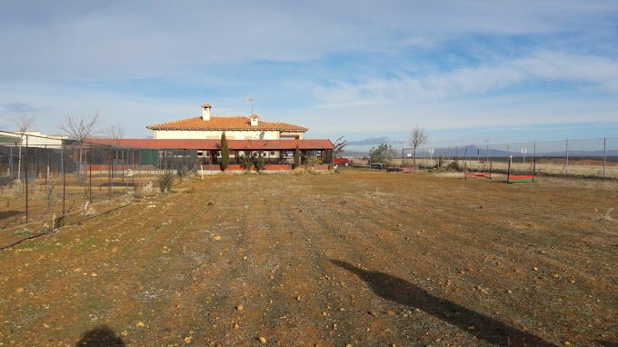 centro canino rivendel