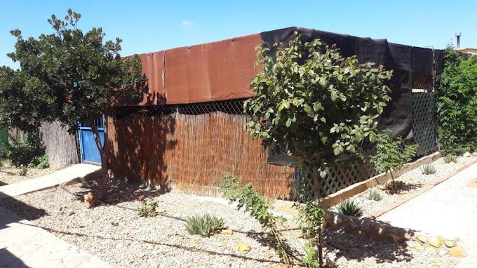 centro canino rivendel