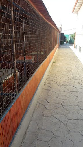 centro canino rivendel