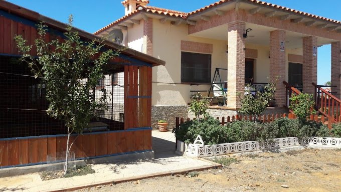 centro canino rivendel