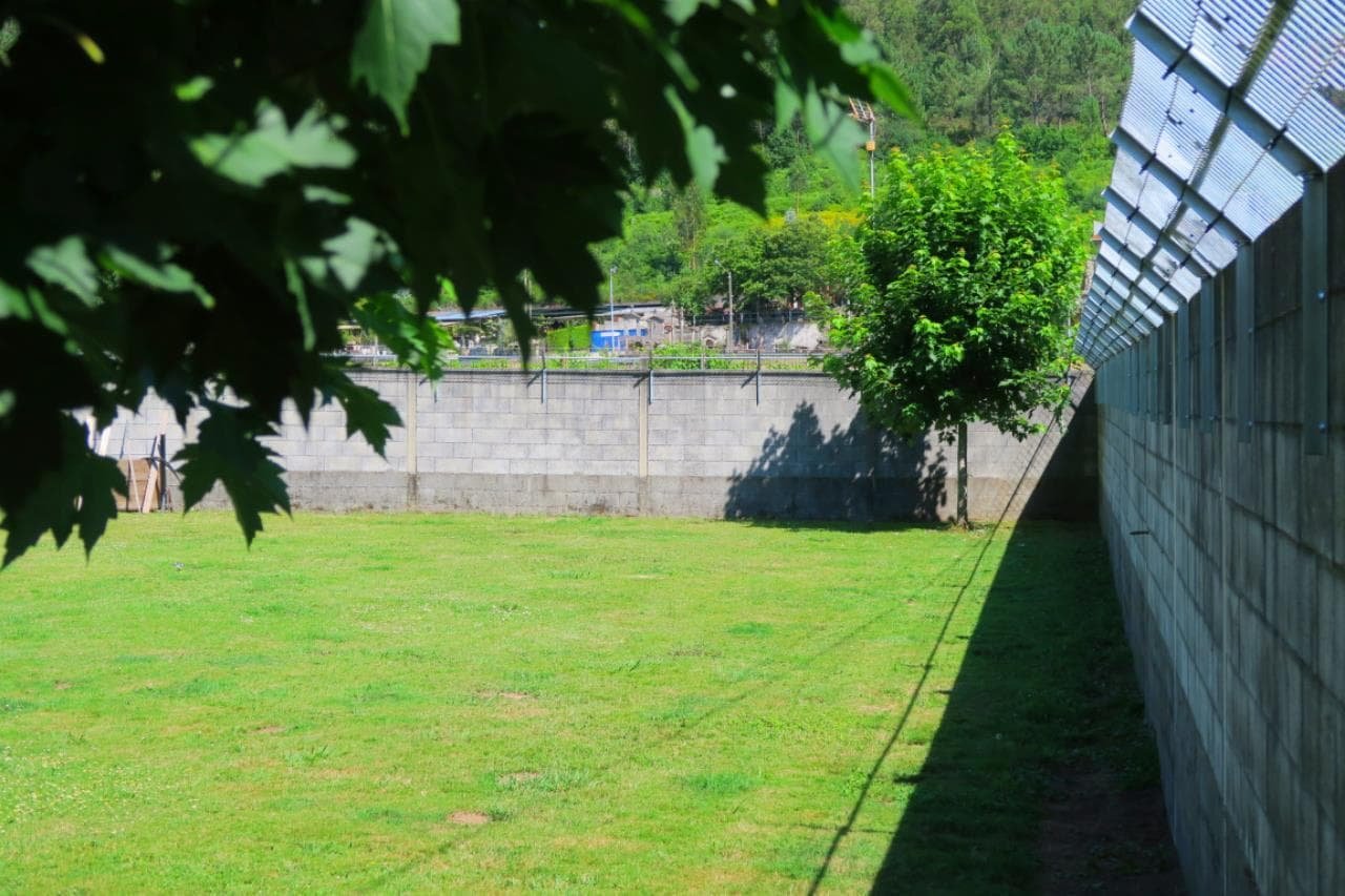 centro canino daponte