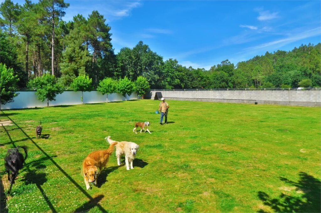 centro canino daponte