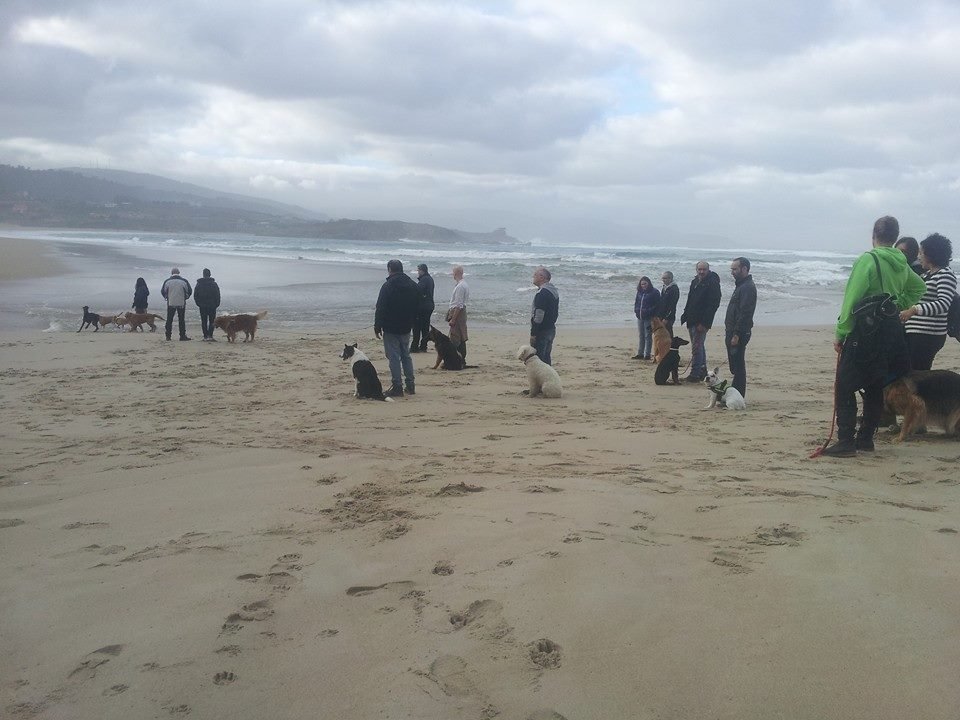 hotel canino aulacan