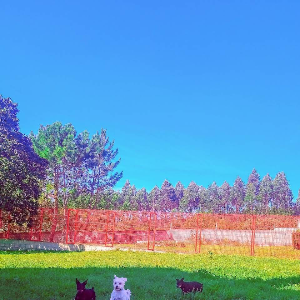 residencia canina red garden