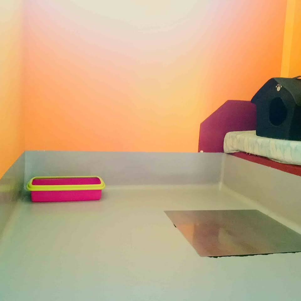 residencia canina red garden