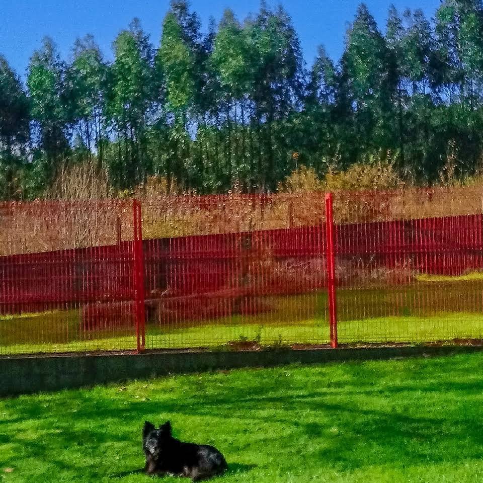 residencia canina red garden