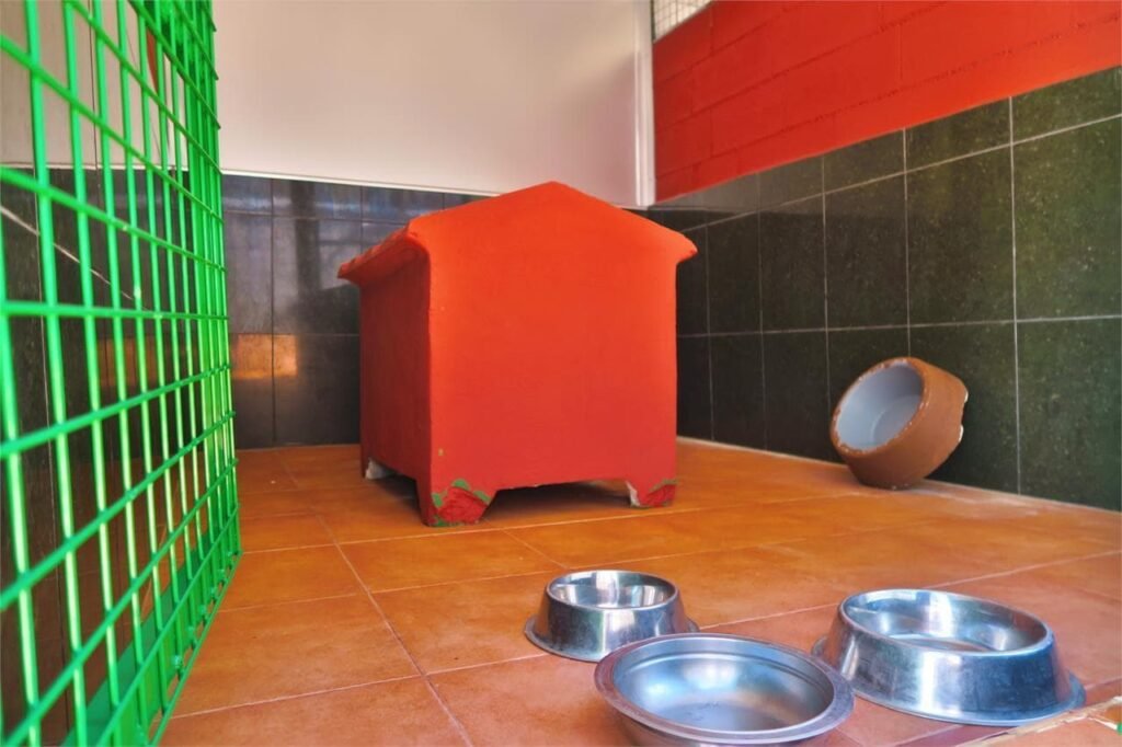 centro canino daponte